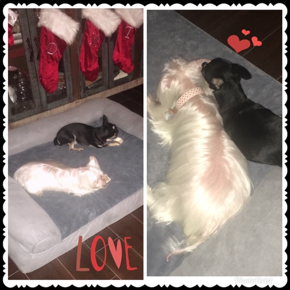 Meet your Posher, C - Picture 4 of 8